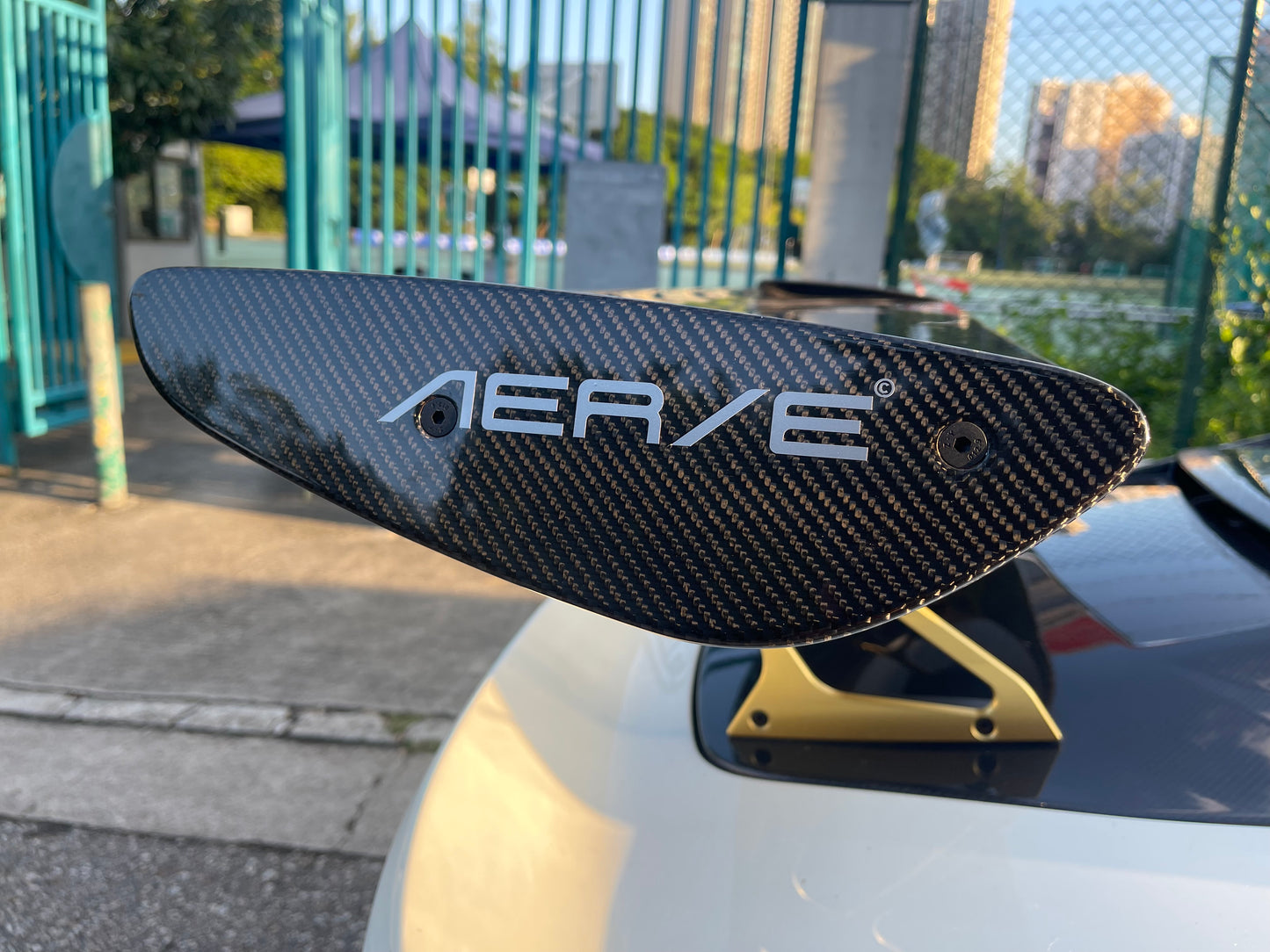 Exige Cup430 carbon fiber endplates
