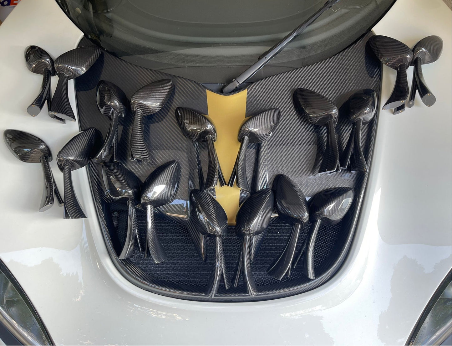 Lotus Carbon Fibre Side Mirrors