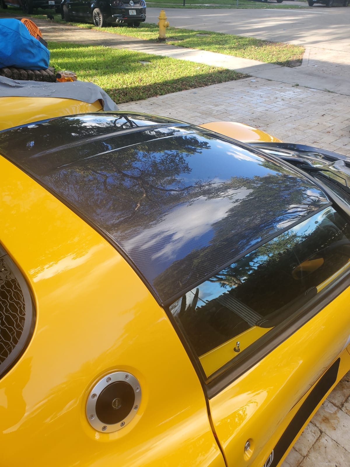 Lotus Carbon Fibre Hardtop