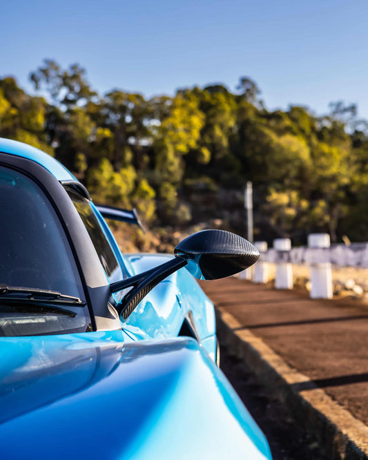 Lotus Carbon Fibre Side Mirrors