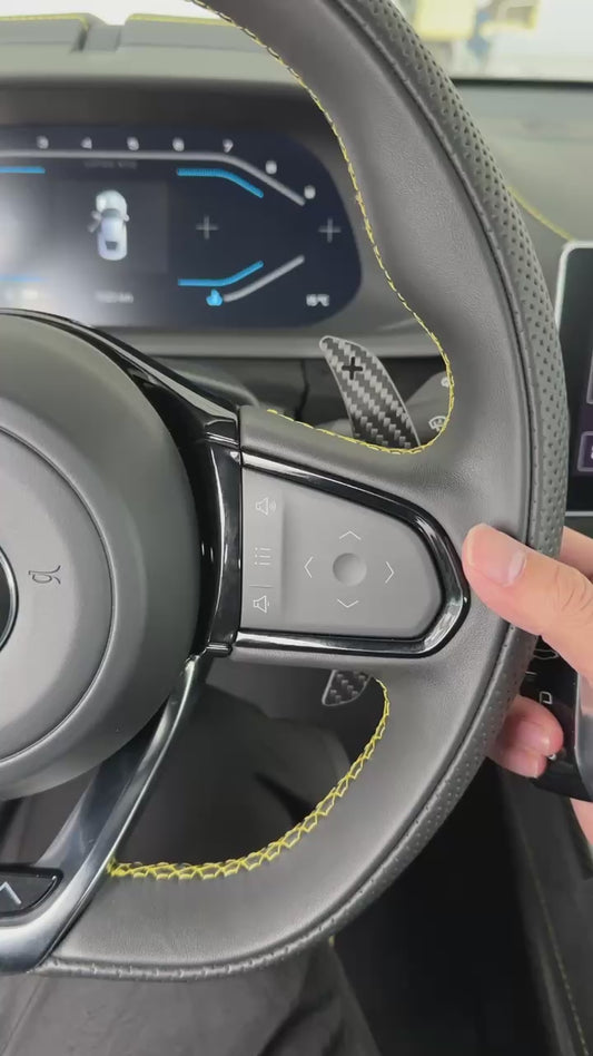 Carbon Fiber Magnetic Paddle Shift for Emira i4 and V6 ISP